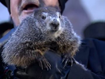 La marmota Phil indica que el invierno se alargará seis semanas más