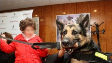 Impulsan la terapia con perros para niños autistas en Sant Andreu de la Barca