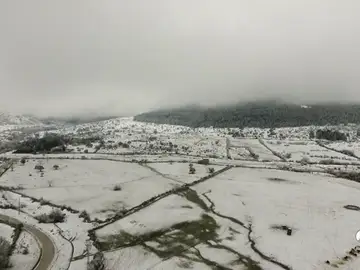 DRON DRON