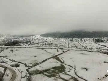 DRON DRON