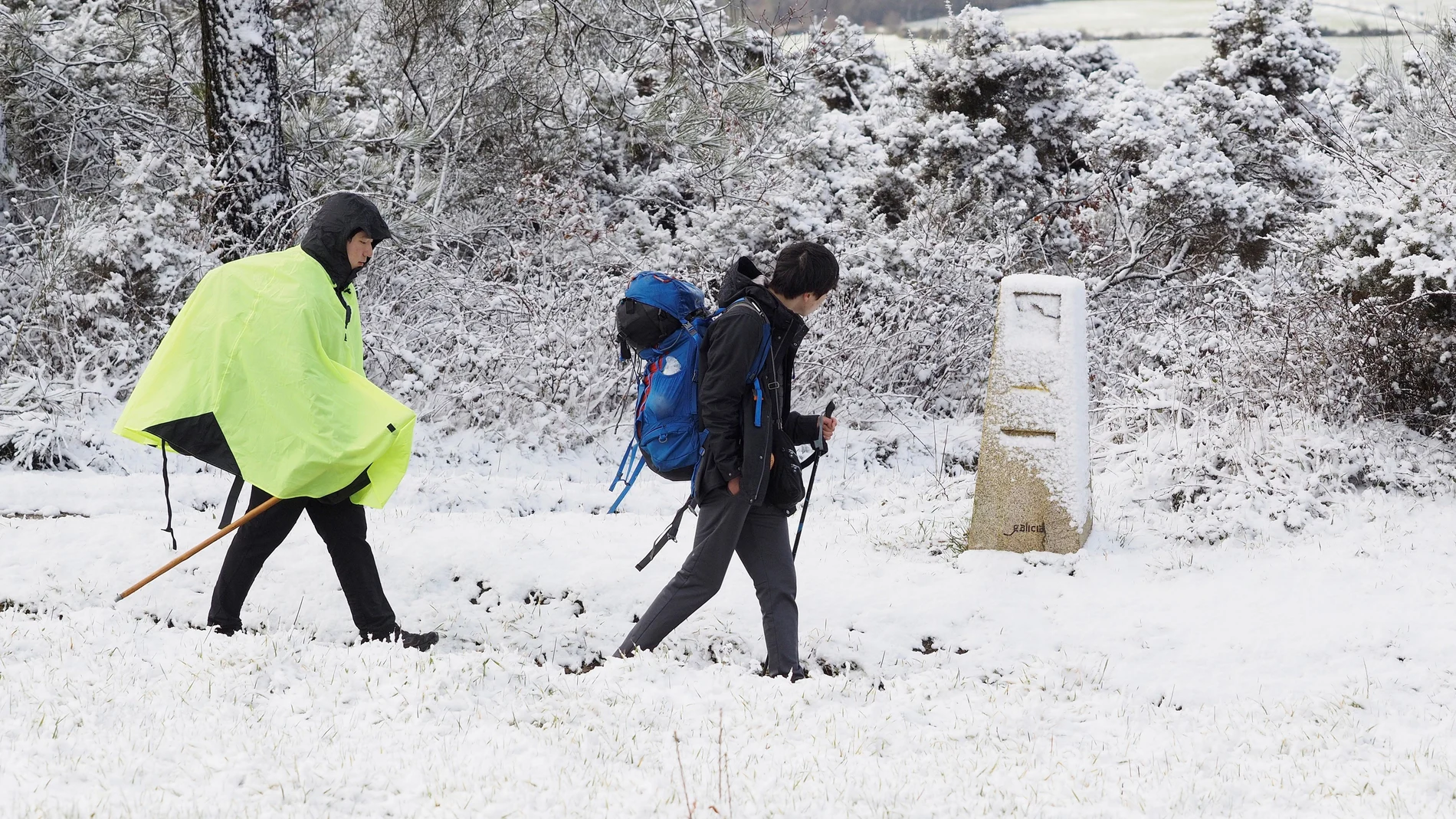 Nieve en Lugo Nieve en Lugo