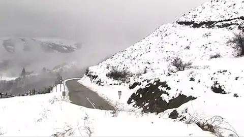temporal temporal