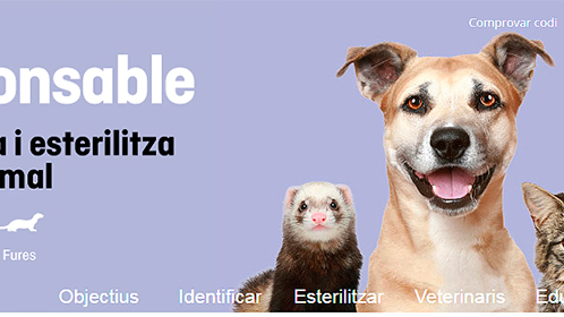 Imagen de la web 'Soy Responsable' Imagen de la web 'Soy Responsable'