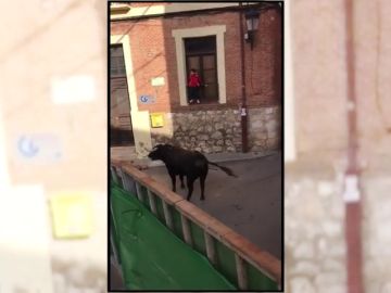 Un toro embiste un carrito de bebé durante unos encierros populares Un toro embiste un carrito de bebé durante unos encierros populares