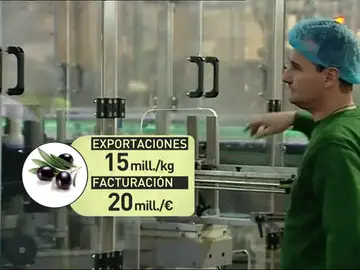 Inspectores estadounidenses visitan varias empresas de aceituna negra en Sevilla para decidir si mantienen los aranceles Inspectores estadounidenses visitan varias empresas de aceituna negra en Sevilla para decidir si mantienen los aranceles