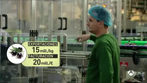 Inspectores estadounidenses visitan varias empresas de aceituna negra en Sevilla para decidir si mantienen los aranceles Inspectores estadounidenses visitan varias empresas de aceituna negra en Sevilla para decidir si mantienen los aranceles