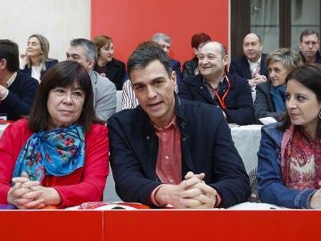 Pedro Sánchez, en el Comité Federal del PSOE Pedro Sánchez, en el Comité Federal del PSOE