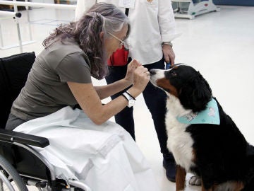 Una paciente que participa en el programa 'Can de la Mano'