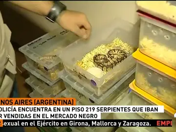 SERPIENTES SERPIENTES