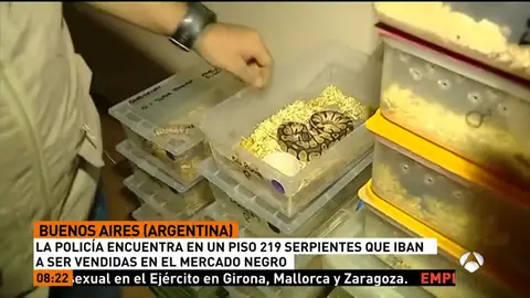 SERPIENTES SERPIENTES