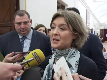 Tejerina, sobre la huelga del 8-M Tejerina, sobre la huelga del 8-M