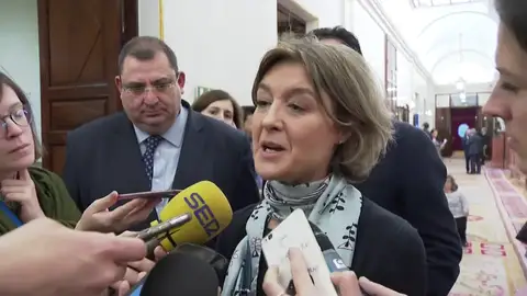 Tejerina, sobre la huelga del 8-M Tejerina, sobre la huelga del 8-M