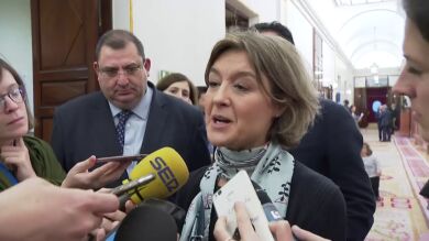 Tejerina, sobre la huelga del 8-M