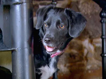 La tercera en discordia entre Carolyne y Sheyla La tercera en discordia entre Carolyne y Sheyla