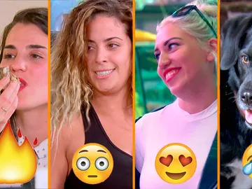 Terapias, segundo round de pasión, arroz con atún y un divorcio Terapias, segundo round de pasión, arroz con atún y un divorcio