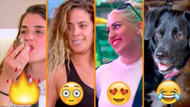 Terapias, segundo round de pasión, arroz con atún y un divorcio