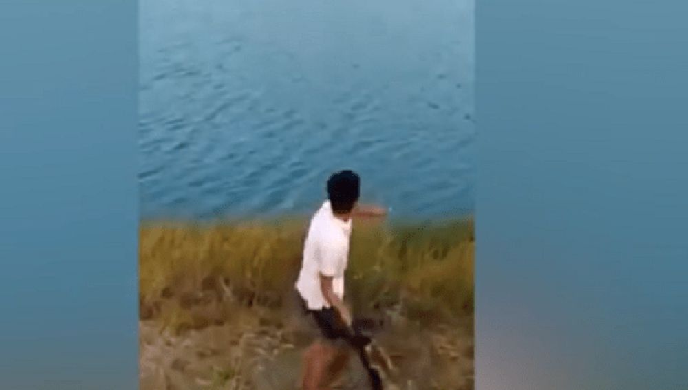 Imagen del joven lanzando al animal al agua