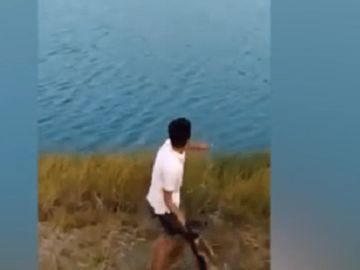 Imagen del joven lanzando al animal al agua