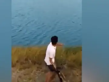 Imagen del joven lanzando al animal al agua Imagen del joven lanzando al animal al agua
