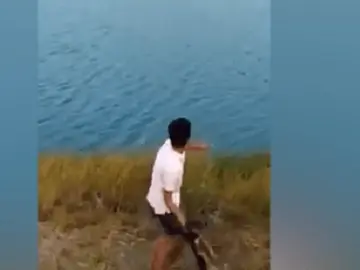 Imagen del joven lanzando al animal al agua Imagen del joven lanzando al animal al agua