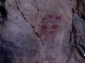 neanderthal neanderthal