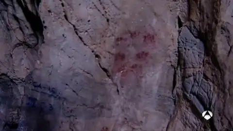 neanderthal neanderthal