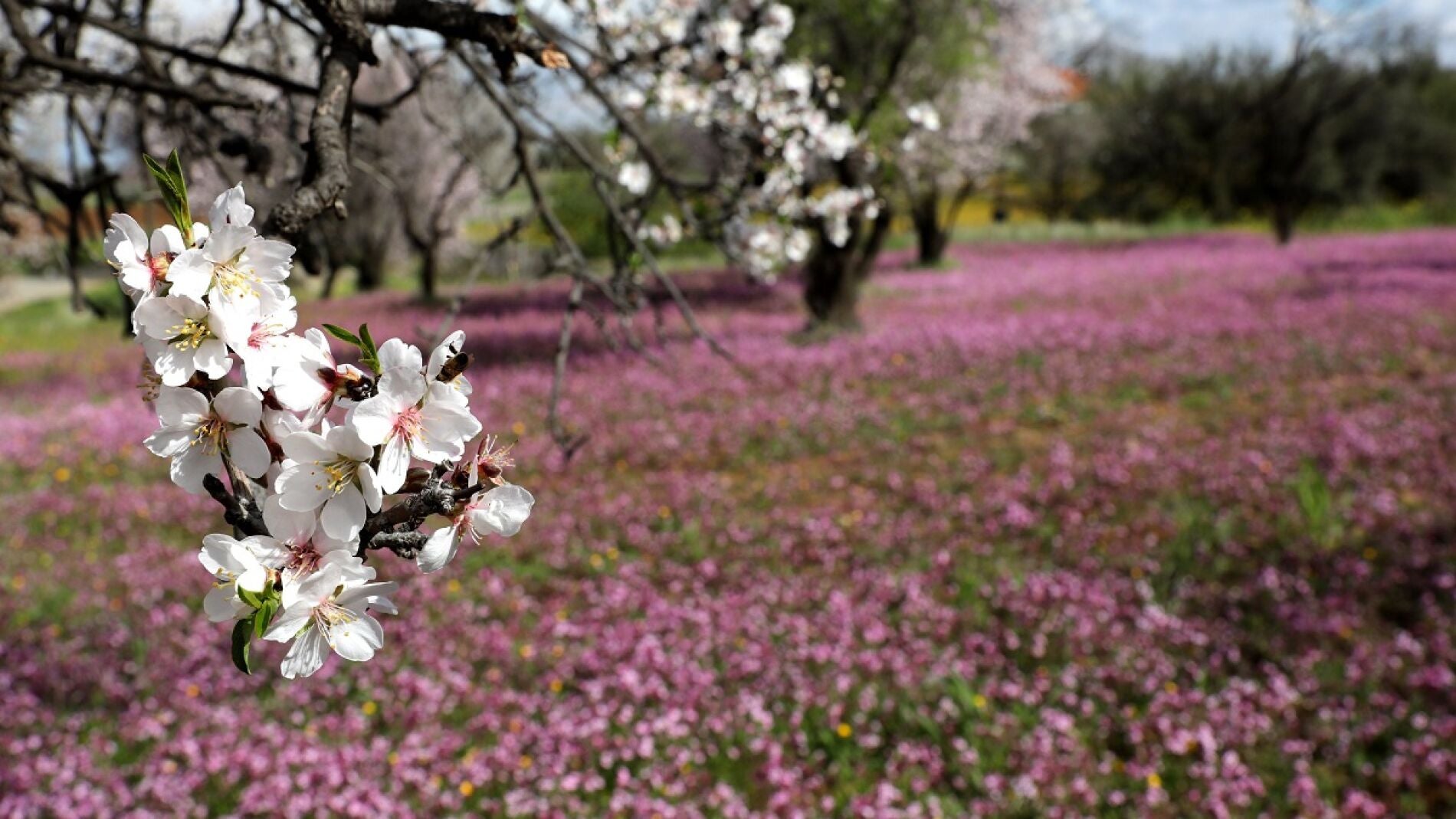 10 frases para dar la bienvenida a febrero en 2020