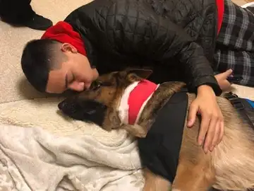 Rex, el perro que salvó la vida de su dueño Rex, el perro que salvó la vida de su dueño