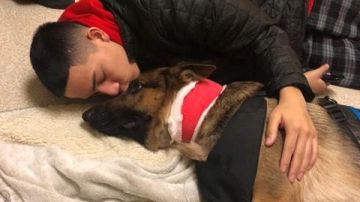 Rex, el perro que salvó la vida de su dueño