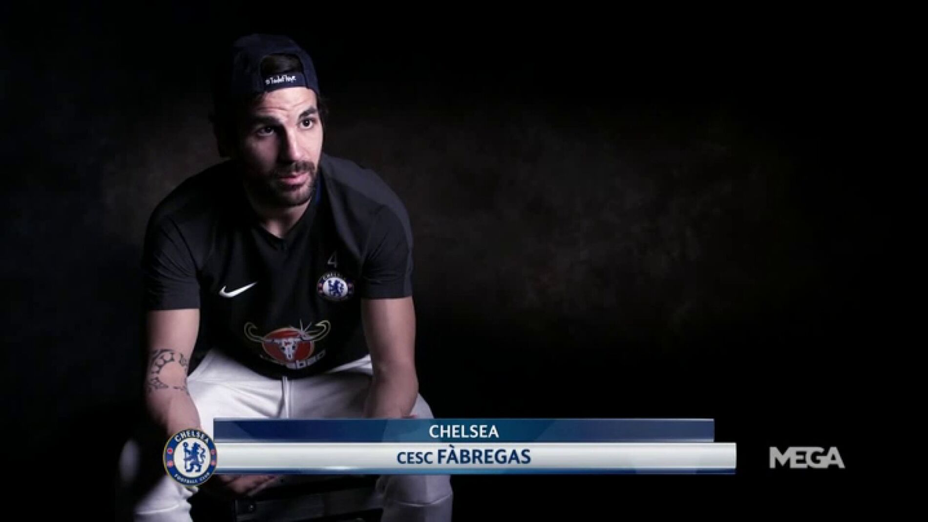 cesc_champions