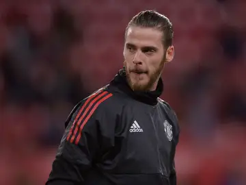 David de Gea David de Gea