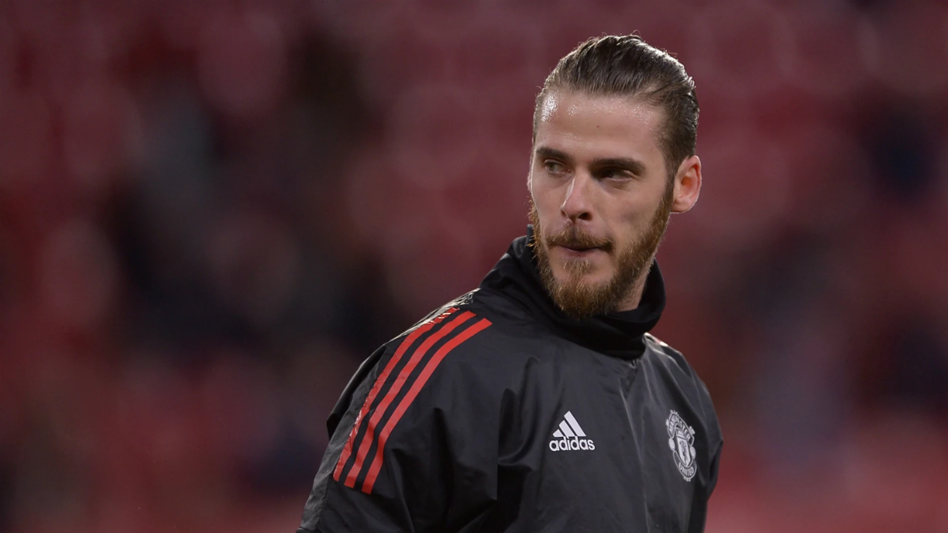 David de Gea David de Gea