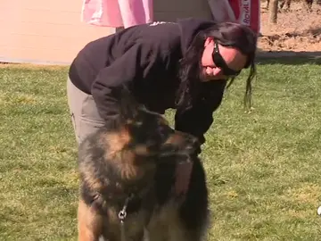 perrosmaltrato perrosmaltrato