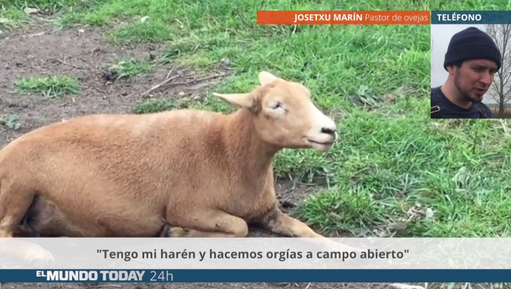ovejamundo.png