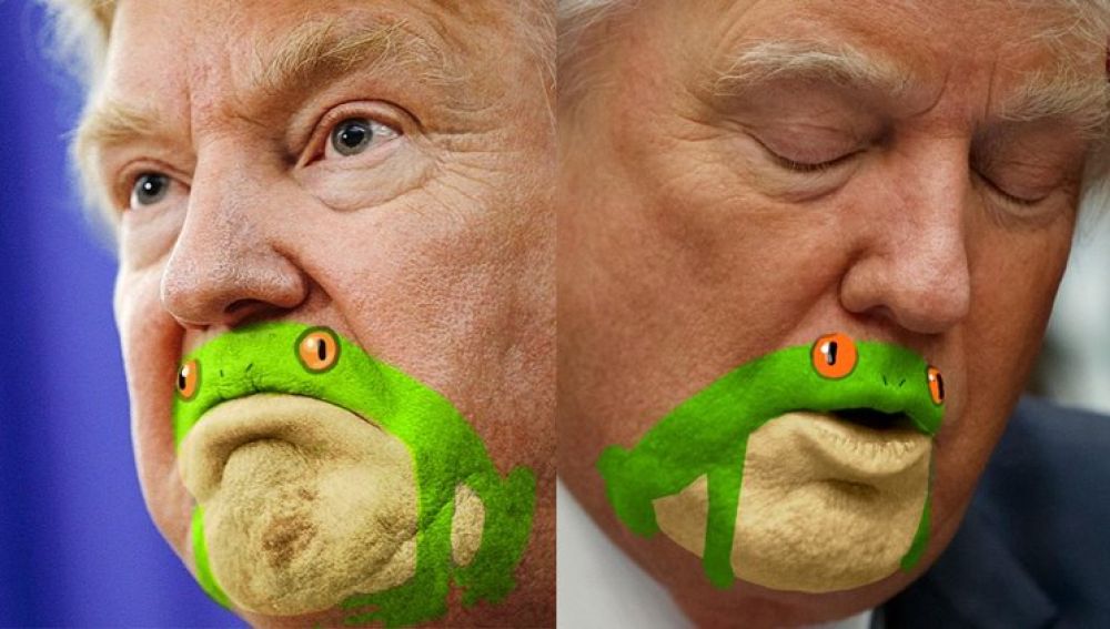 donald-trump-frog_twitter_759.jpg