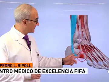 Ripoll Ripoll