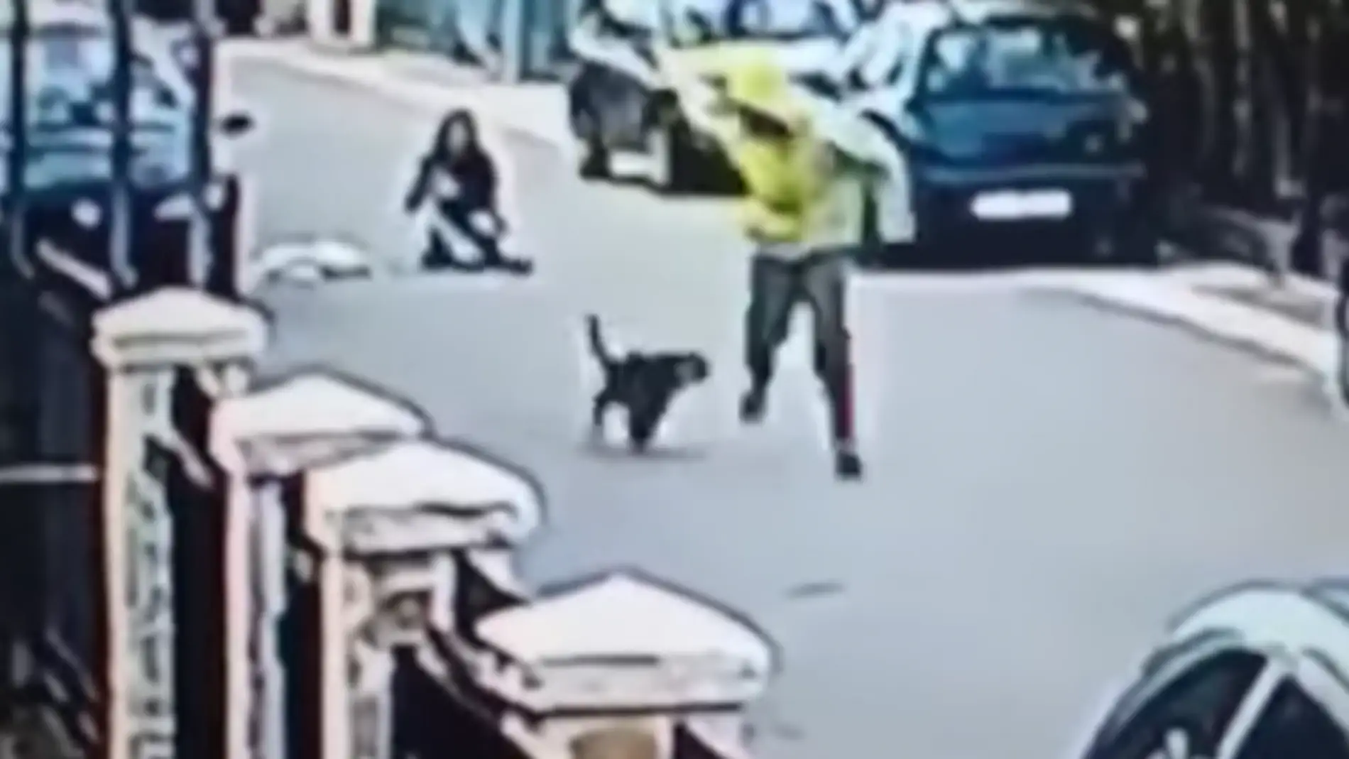 perromontenegro.png