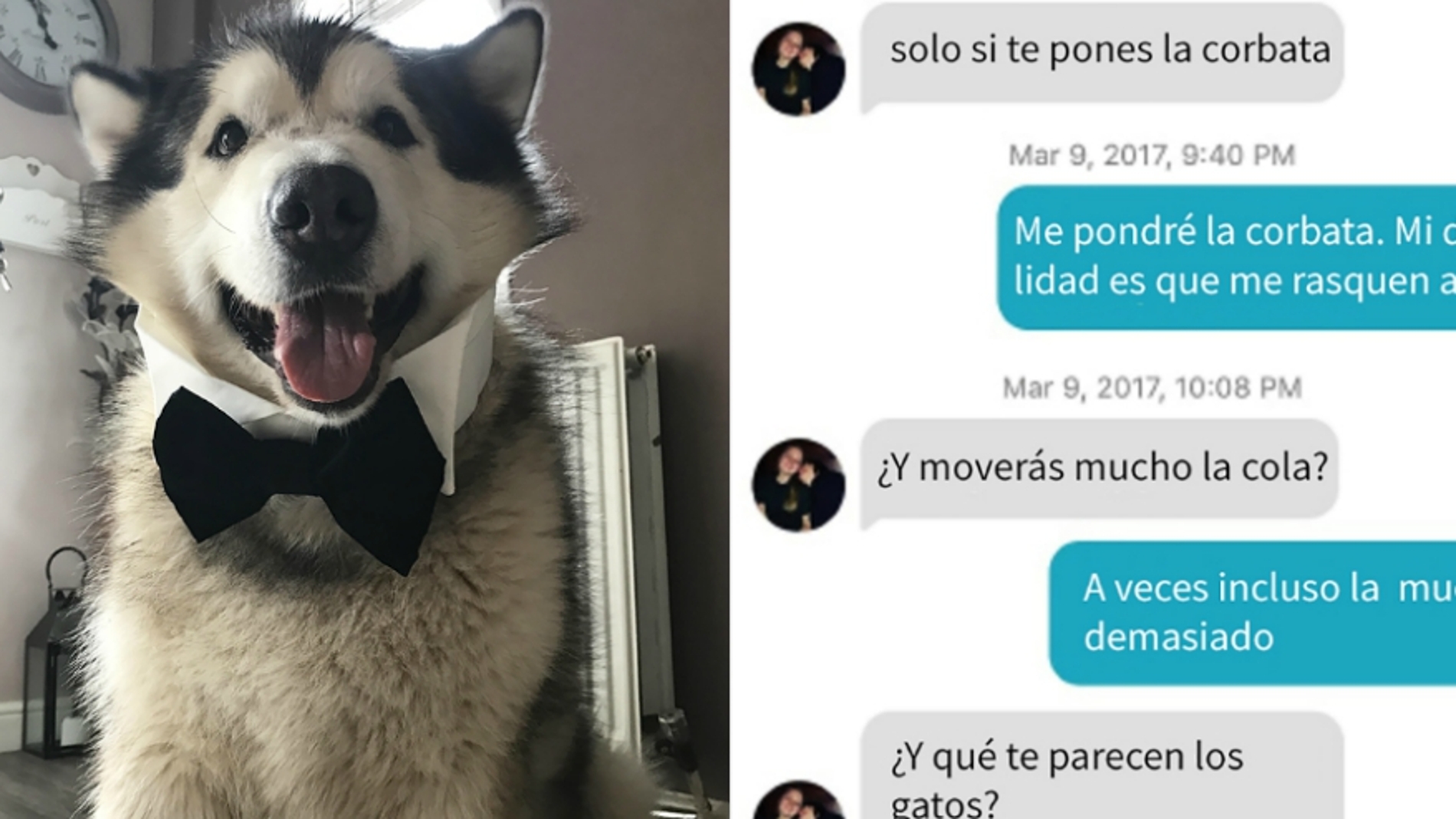 perrotinderok.jpg