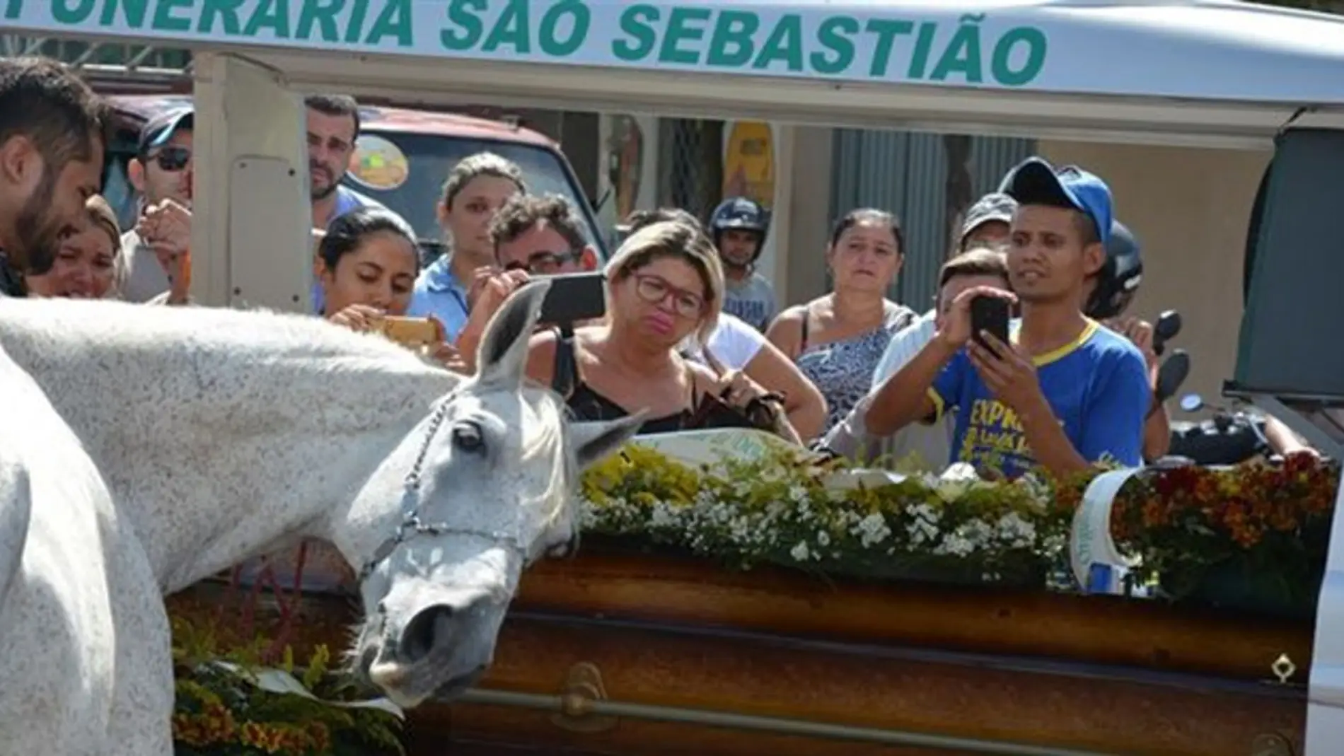 serenocaballoportada.jpg