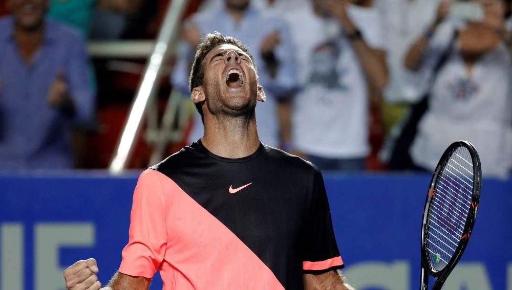 Del Potro, tras vencer a Thiem