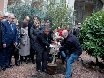 Juan Ignacio Zoido plantando el olivo Juan Ignacio Zoido plantando el olivo