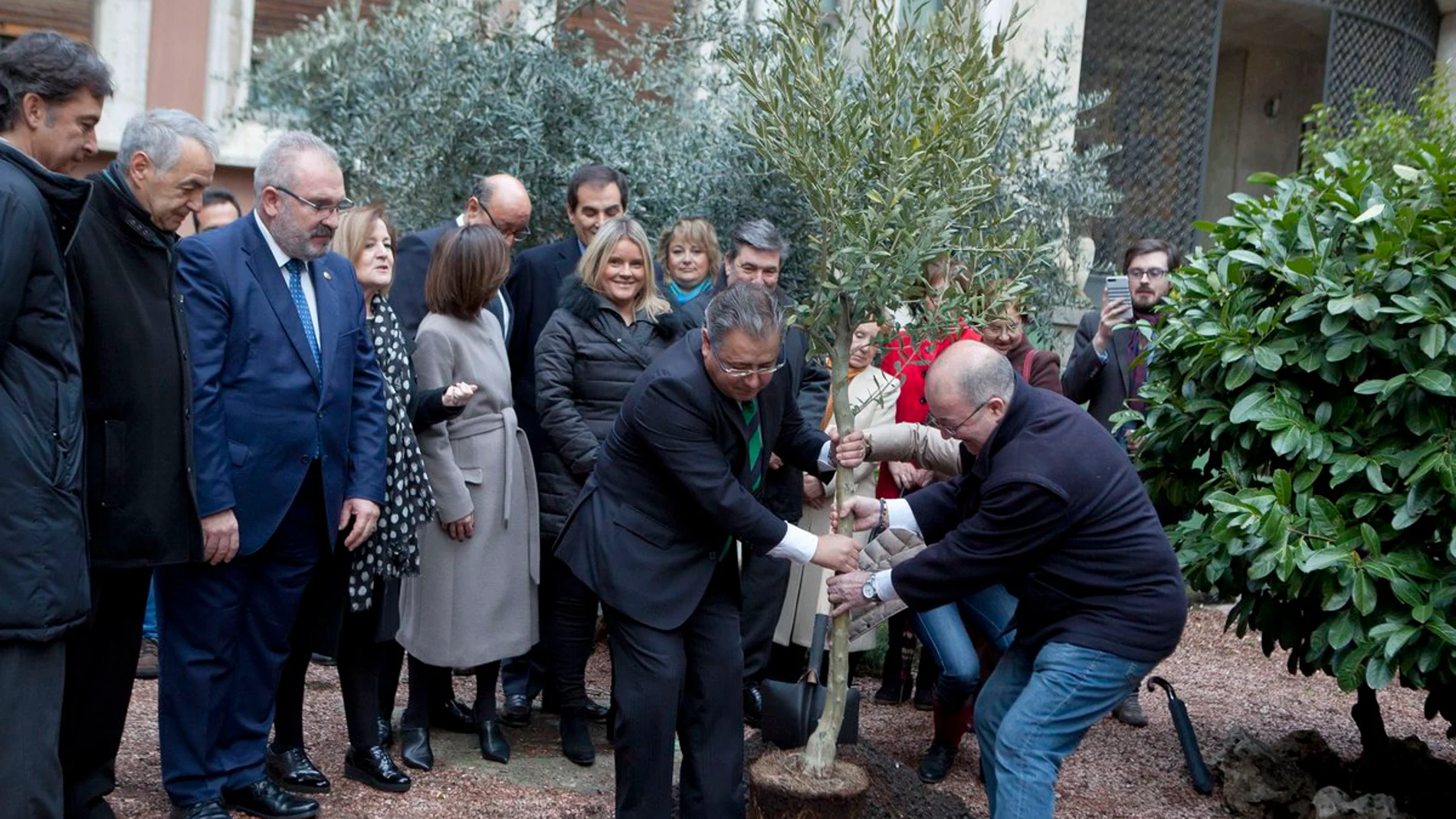 Juan Ignacio Zoido plantando el olivo Juan Ignacio Zoido plantando el olivo