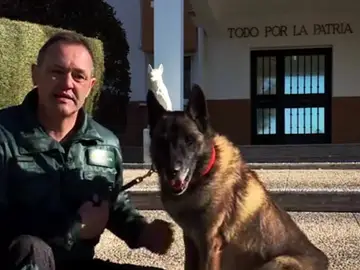 Elton, el perro que participa en la búsqueda de Gabriel Elton, el perro que participa en la búsqueda de Gabriel