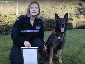 El perro policía Canto El perro policía Canto