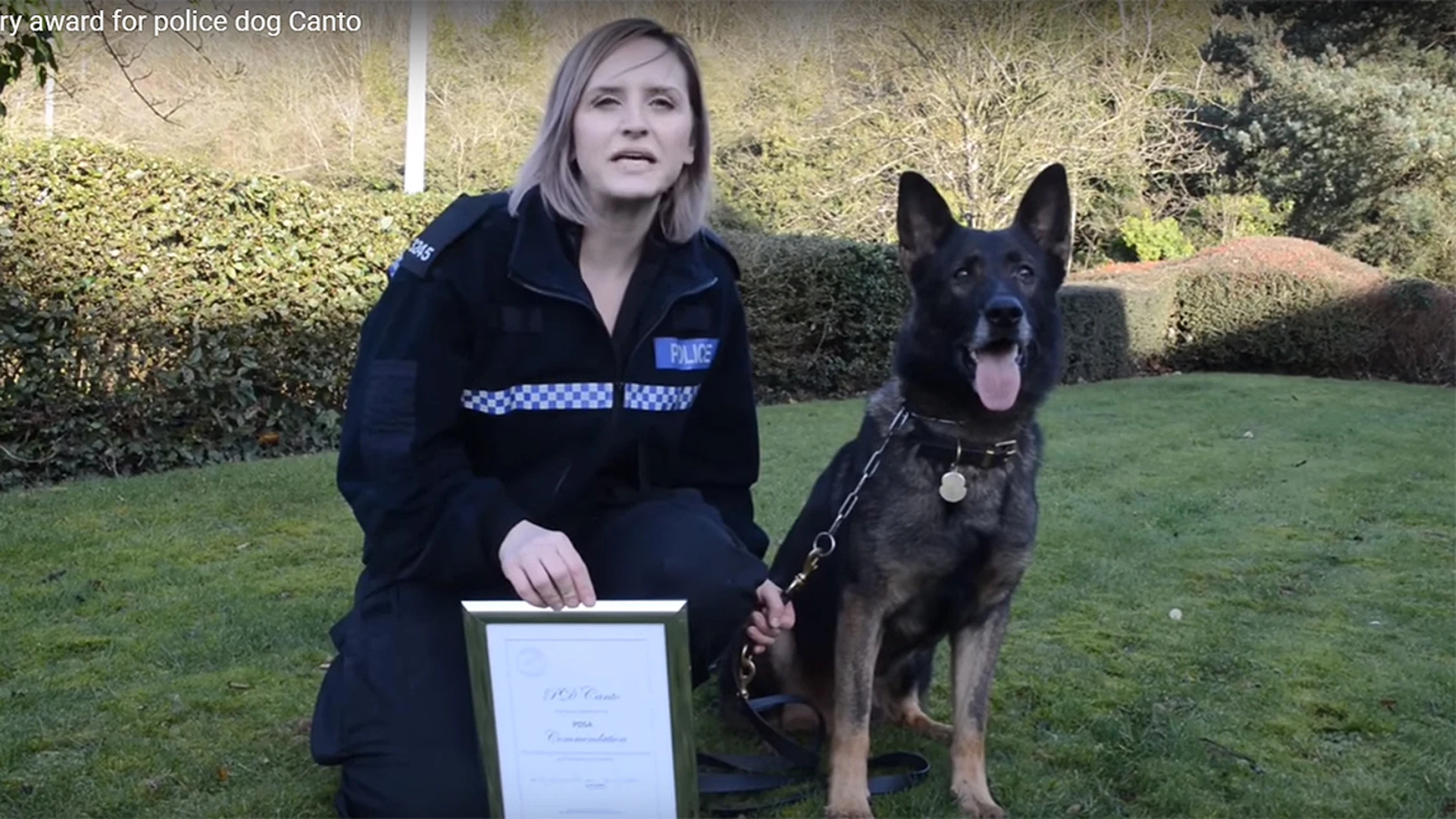 El perro policía Canto El perro policía Canto