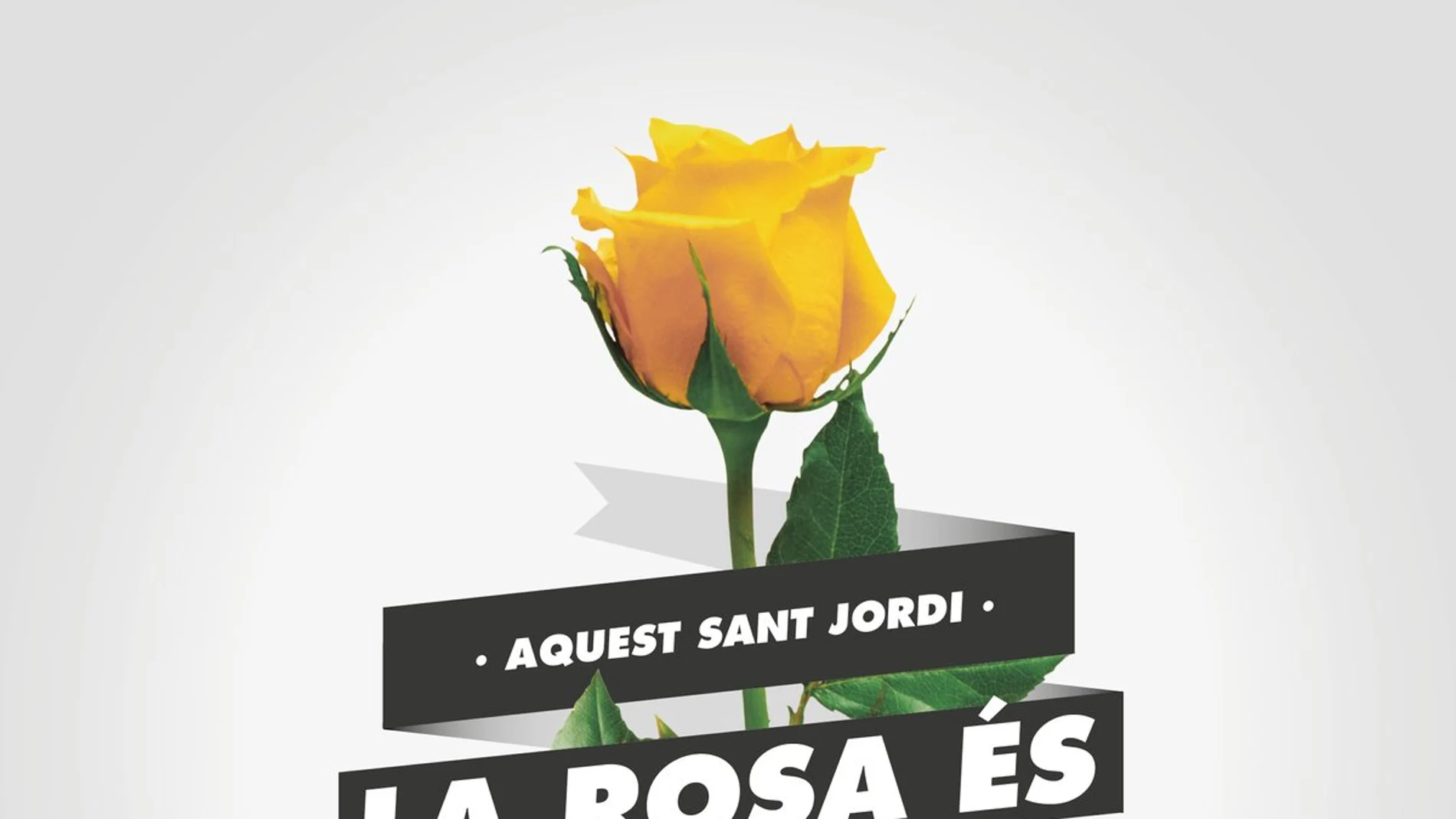 El independentismo pide a los ciudadanos que en el próximo San Jordi regalen rosas amarillas El independentismo pide a los ciudadanos que en el próximo San Jordi regalen rosas amarillas