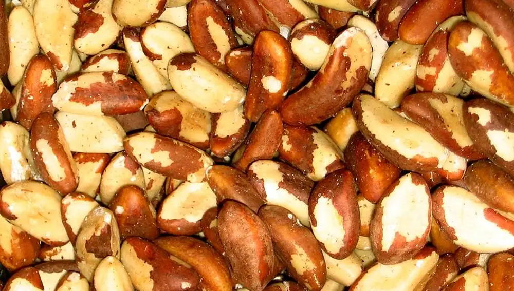 Las peculiares nueces brasileñas.