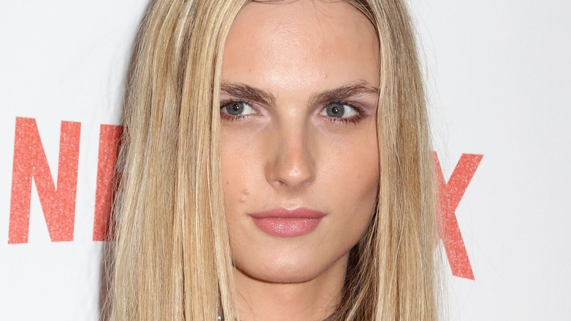 Andreja Pejić en una de sus &uacute;ltimas apariciones p&uacute;blicas