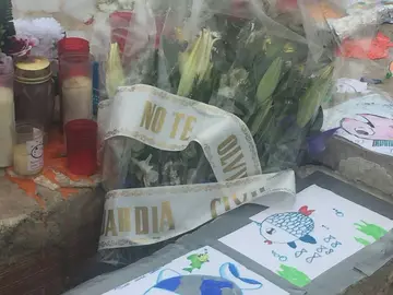 Flores que ha colocado la Guardia Civil en el homenaje a Gabriel Cruz en la estatua de La Ballena Flores que ha colocado la Guardia Civil en el homenaje a Gabriel Cruz en la estatua de La Ballena