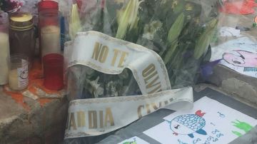 Flores que ha colocado la Guardia Civil en el homenaje a Gabriel Cruz en la estatua de La Ballena